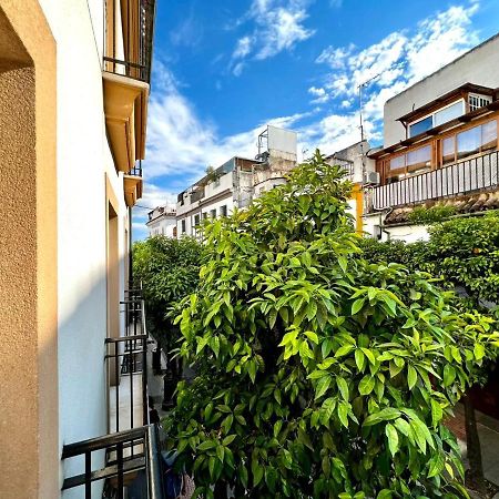 San Fernando De La Ribera Apartamento Córdova Exterior foto