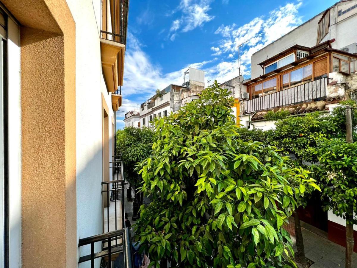 San Fernando De La Ribera Apartamento Córdova Exterior foto